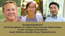2018 Cullen-Peck Fellows